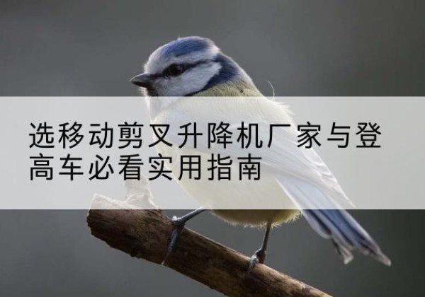 栖霞电动升降机厂家-选移动剪叉升降机厂家与登高车必看实用指南
